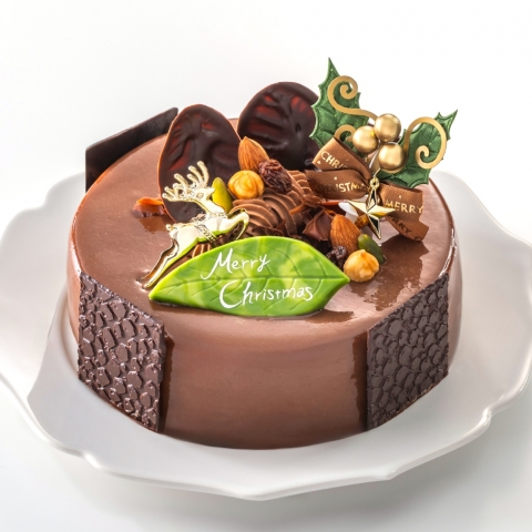 �V���R���E�A�[���O���C